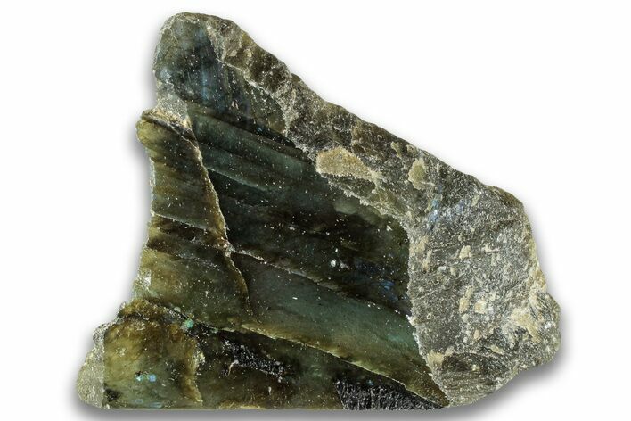 Single Side Polished Labradorite Section - Madagascar #324668